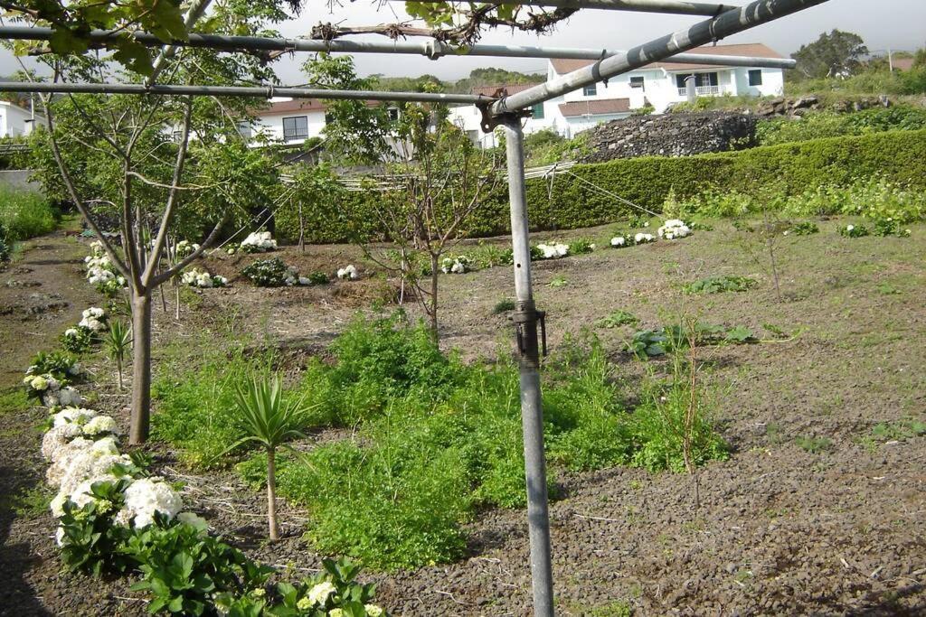 Silveira'S Home Lajes do Pico Exterior photo